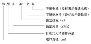 大東海泵業(yè)zw泵型號意義