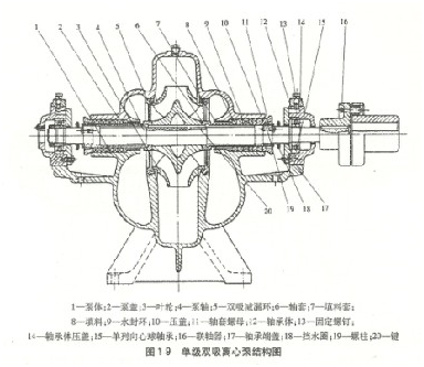 大東海泵業(yè)單級雙吸離心泵結構圖