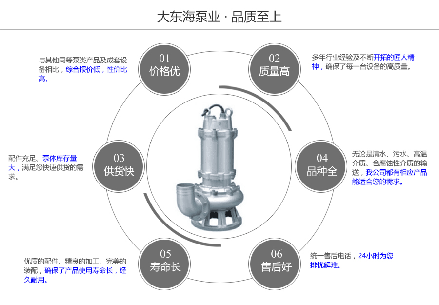 大東海泵業(yè)不銹鋼潛水泵質(zhì)量保證圖